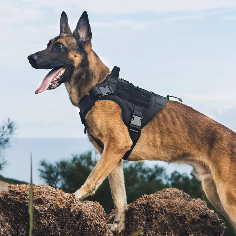 Tactical Dog Harness Military Training Padded Quick Release Vest Pet Training Dog Harness For Set Small Medium Large Dogs NEW