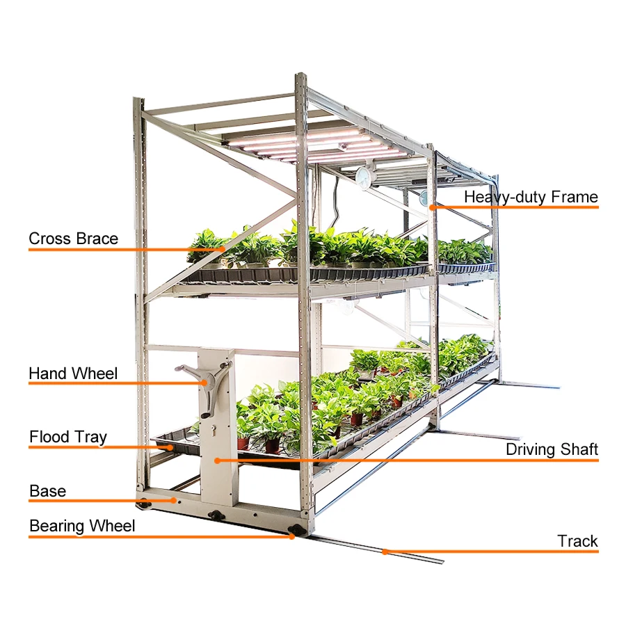 

Hydroponic Farming Microgreen Double Rack Growing Grow Table Mushroom Racks Growing Shelves