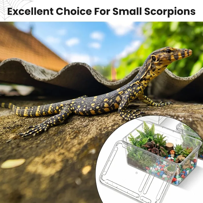 Portable Reptile Breeding Terrarium 6