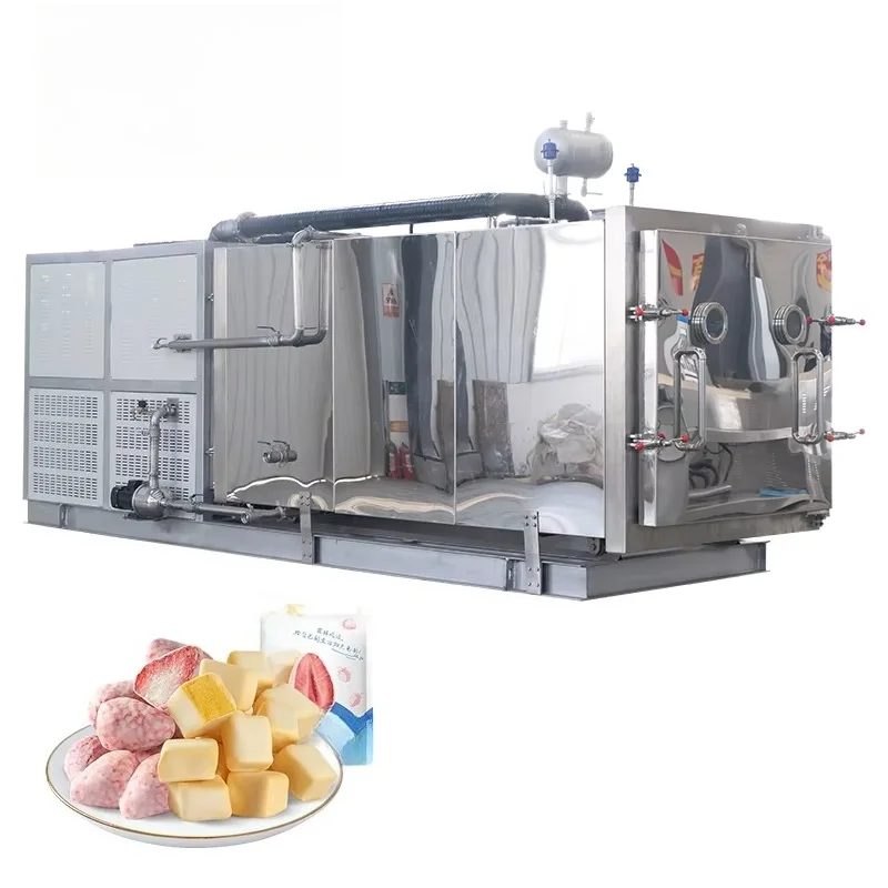 Customized Vacuum Freeze Dryer Machine Cryo Freeze Drying Equipment for Fruit Vegetable Food Processing