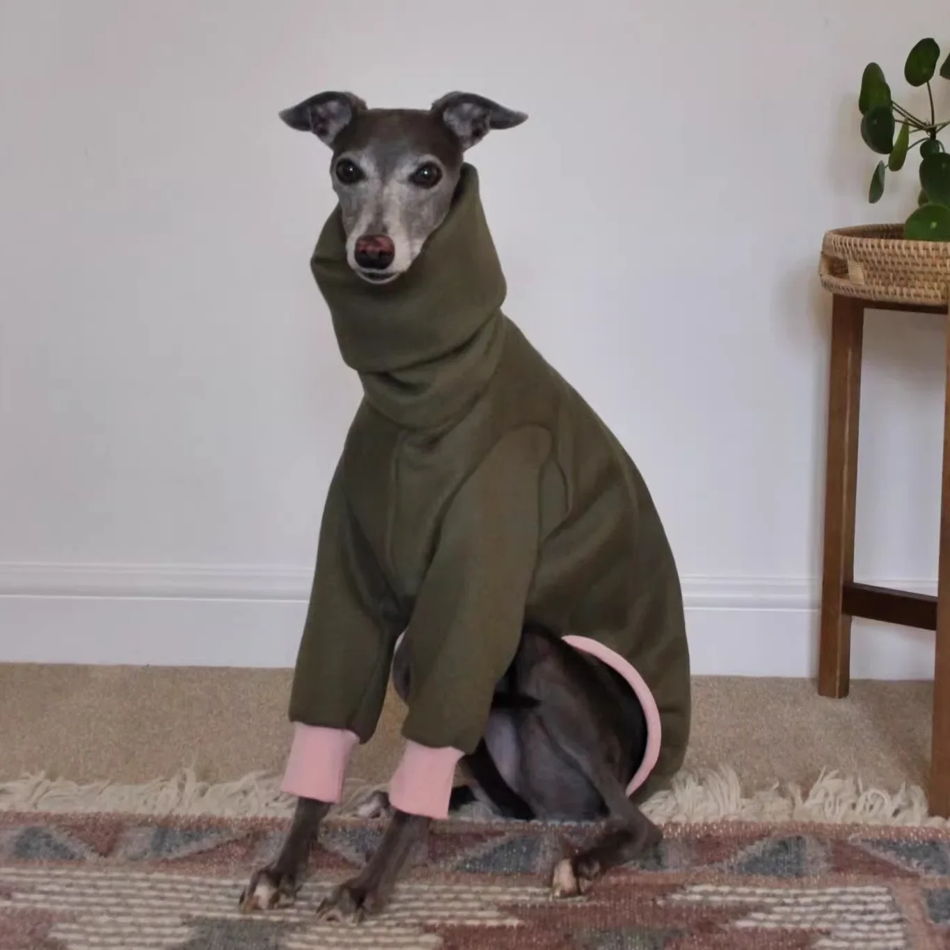 ropa-de-moda-para-perros-de-raza-airless-ropa-de-invierno-para-cachorros-abrigo-de-algodon-calido-de-cuatro-patas-para-galgos-italianos-y-whippets-sudadera-para-perros