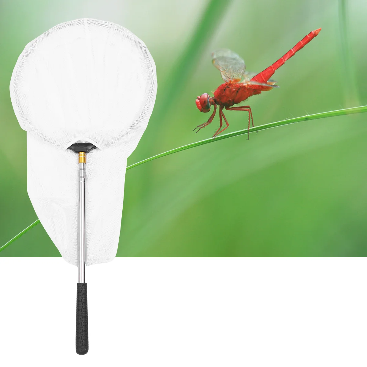 

Insect Netting Mesh Fishing Landing Telescopic Stainless Steel Butterfly Telescoping Handle Catching Tackel