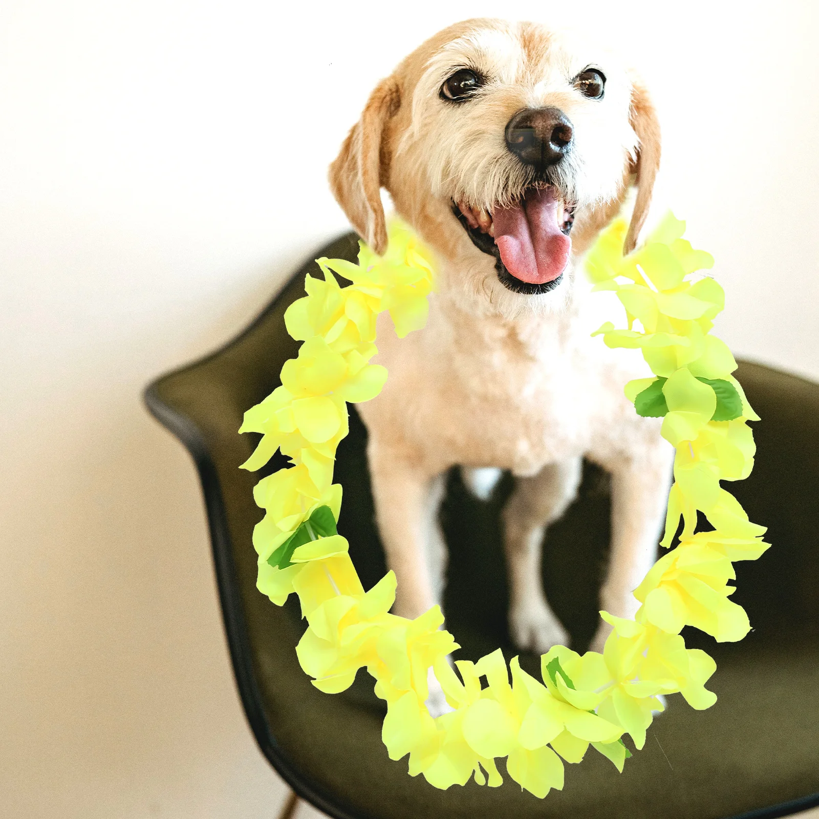 

3 Pcs Hawaiian Leis Garland Pet Accessories Lightweight Comfortable Flowers Loop Necklace Tropical Party Decorations Bright