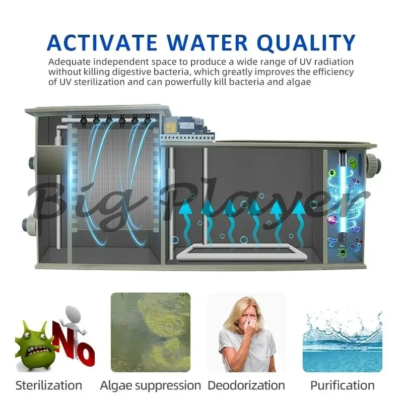 Aquaculture Fishpool Filtration Equipment Koi Fish Pond Farm Bio Filter System Koi Pond Rotary Drum Filter