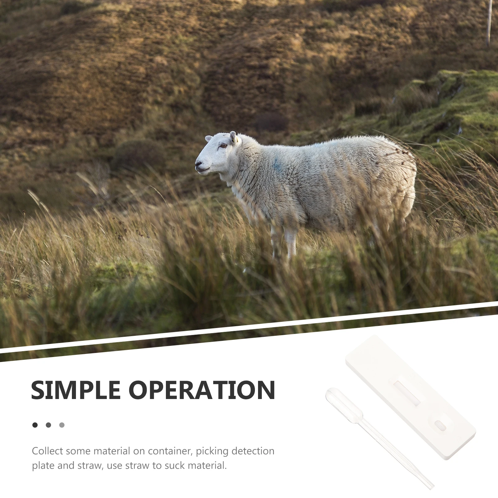 

1 set 1 Set Pregnancy Test Kit Sheep Early Detection Tools Farm Animal Testing Supplies Home Use High Precision Tubing