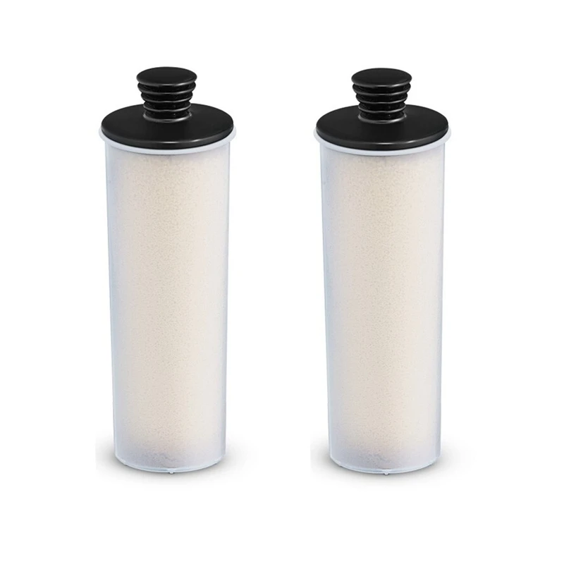 Steam Cleaner Water Purifier Descaling for SC2 SC3 Clean Water Descaling Filter Premium Upright 2PCS-A55K