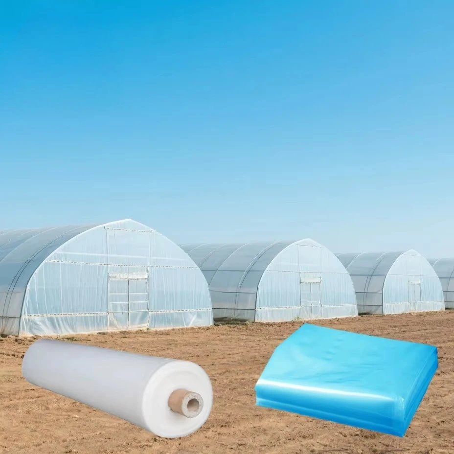 200 Micron PE Greenhouse Film UV Resistant Anti-Drip Double Layer Long Lasting Agricultural Plastic Cover for Vegetable Shed
