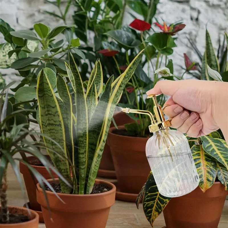 زجاج النبات مستر رذاذ زجاجة خمر مصنع Spritzer سقي زجاجة