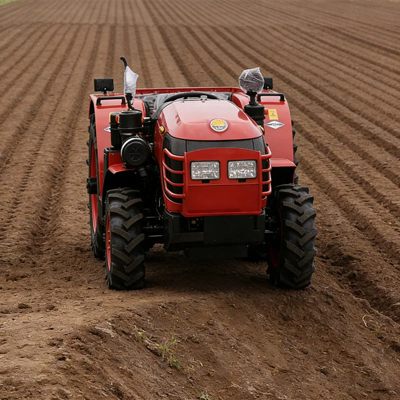 Customized Practica…