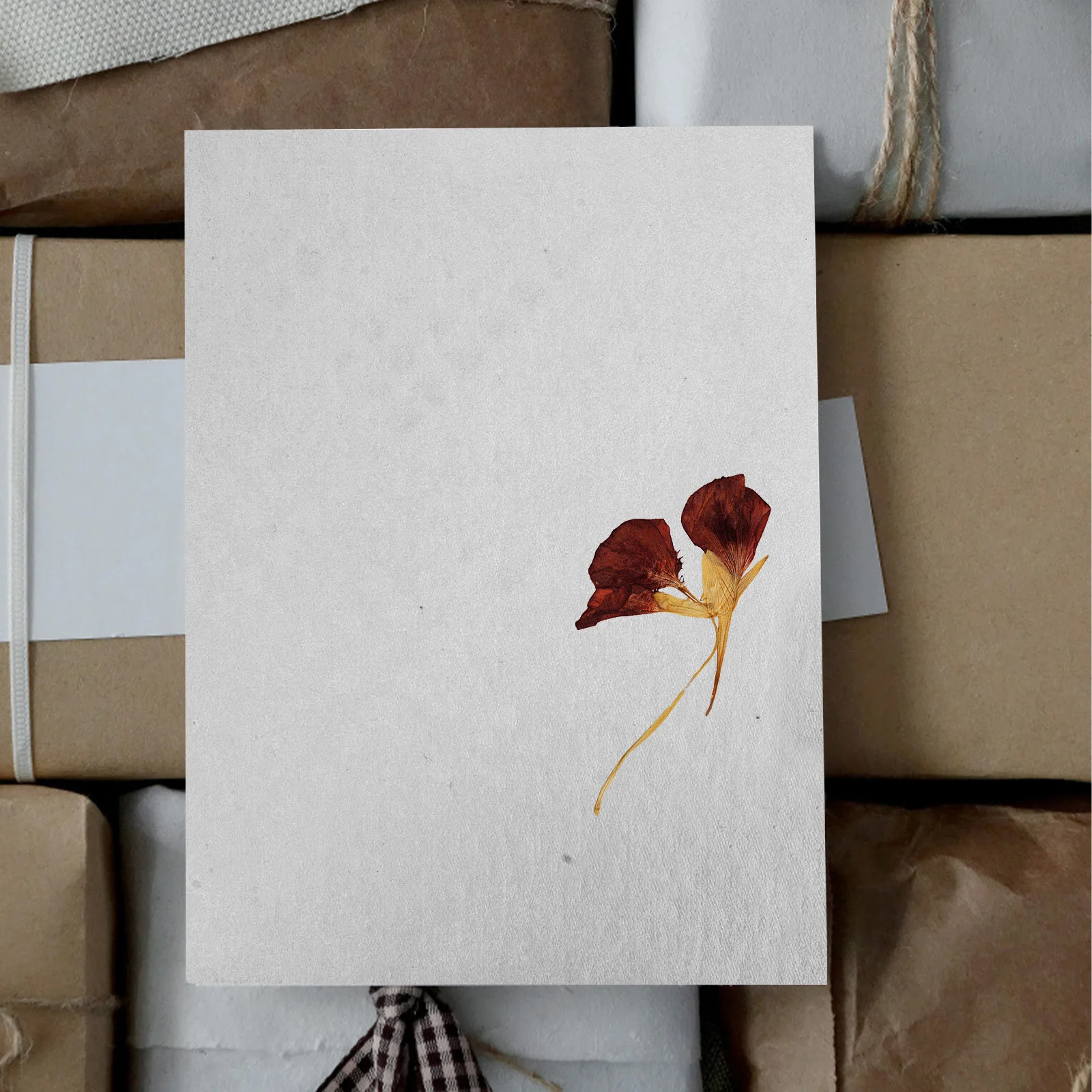 

6pcs Flower Press Blotter Paper Reusable Absorbent Drying Sheets For Dried Flower Making Craft Diy Herbarium Specimen Press