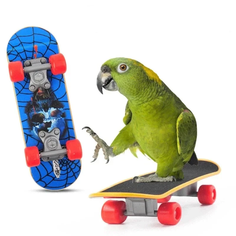 Bird Toy Canary Skateboard Parrot Training Skateboard Bird Supplies Skates Lovebird Canaries Perch for Parrots For Birds Toy Acc