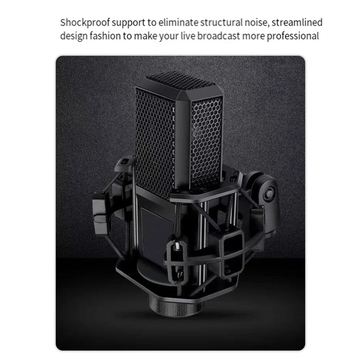 Efficient D241 Professional Studio Condenser Microphone Bundle with Mic Holder