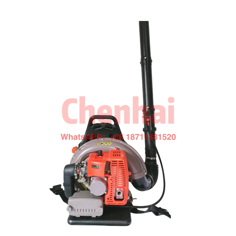 

EB650E-A Professional Gas Snow Blower 2.7kW Powerful Backpack Wind Sweeper Back Pack Leaf Blower with CE/CPA/EURO V