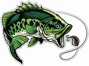 Perch Fishing Stickers Window Vinyl Laptop Wall Table Off-road Room Car Truck Motorcycle Box Decoration Decal Accessories