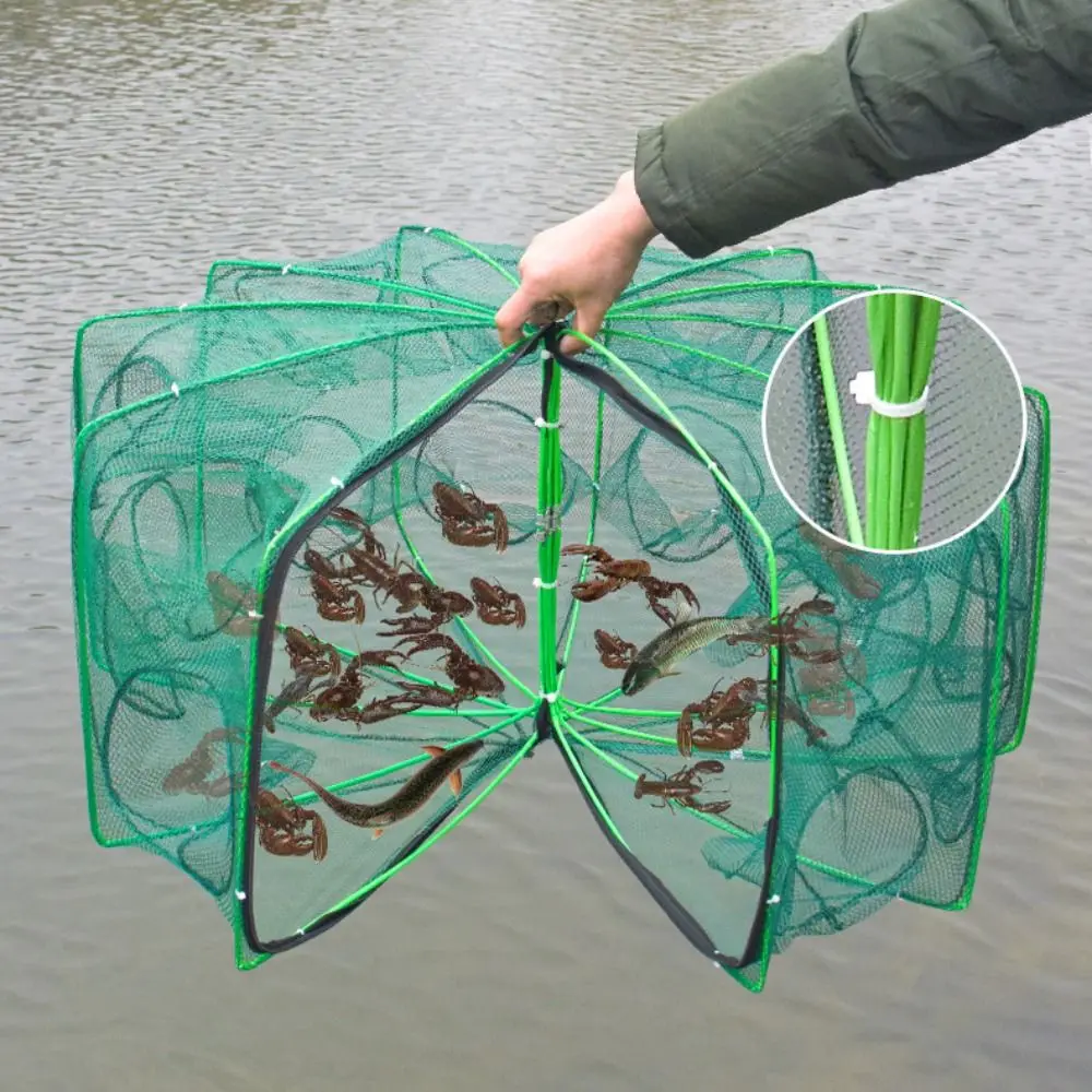 #49 Compare Fishing Traps Before You Buy