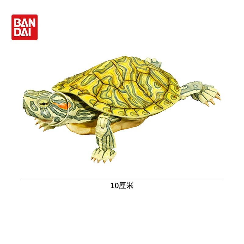 BANDAI Originele Speelgoed Ikemono Taisyou ADVANCE Mauremys Japonica Gacha Beweegbare Anime Action Model Figures Collection