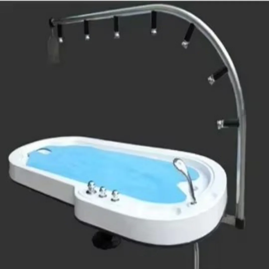 

Best Selling Hydrotherapy Back Wate Massage Saltbath Massage Bed