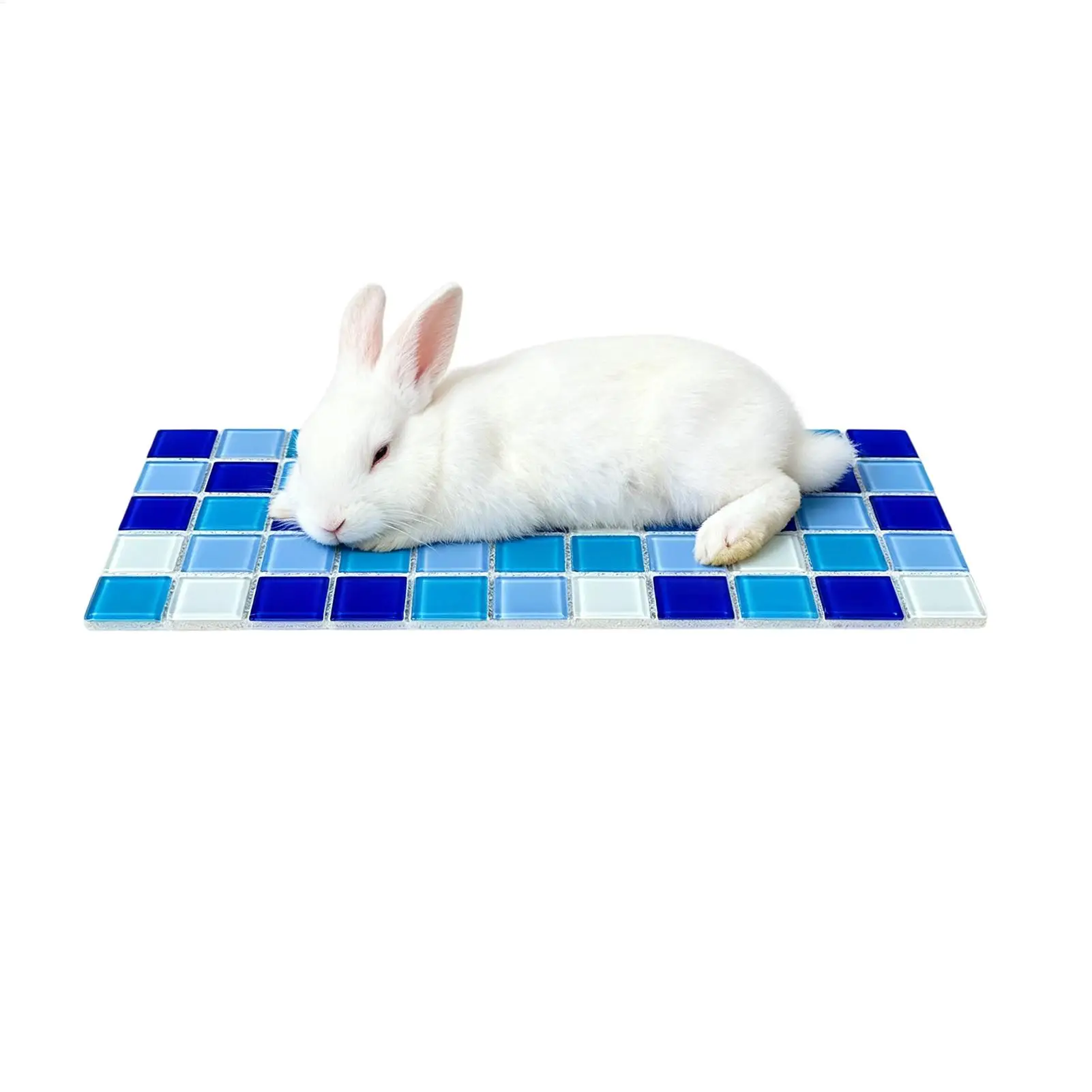 30cm Small Pet Summer Cooling Pad Cool Mat Resin Cooler Beds for Chinchilla Guinea Pig Hamster Accessories view 4