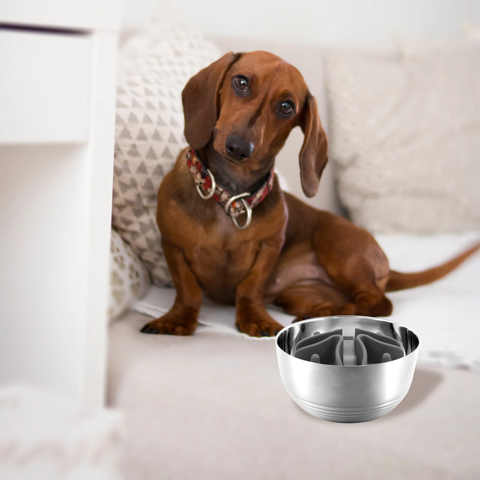 

Slow Feeder Dog Bowl Insert Silicone For Wet Or Dry Food Compact Size Round Edge Pet Supply Small Large Breeds Puppy Feeding