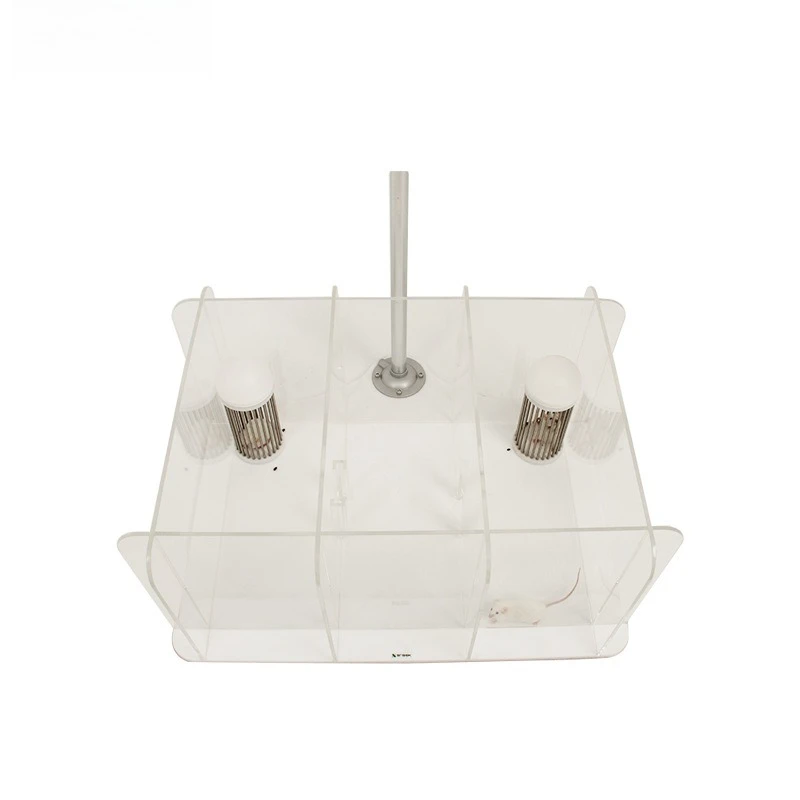 SA-SNP laboratory rat social behavior experiment