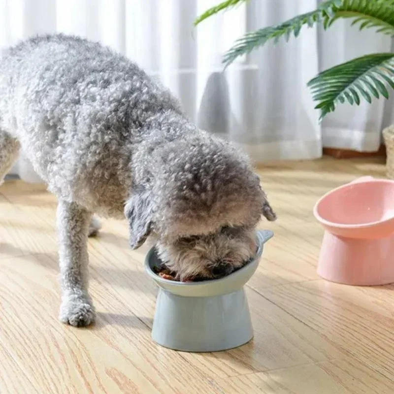 Cat Bowl Pet Food Water Bowl Cat Tilted Bowl Cat Puppy Kitten Food Dish Dog Feeder Water Dispenser Pet Supplies