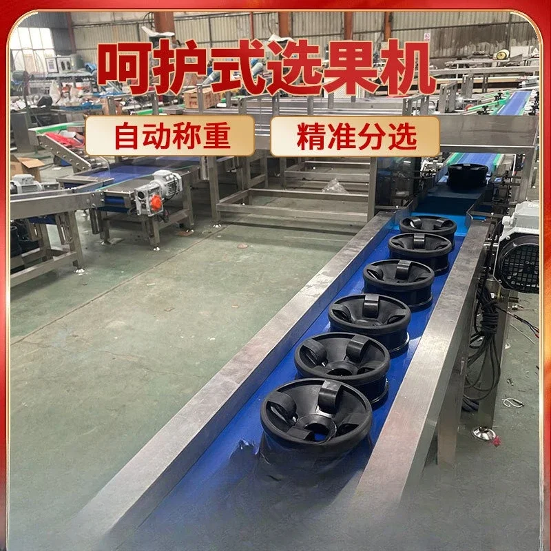 Machine de tri de fruits, pesage de pêches, machine de tri