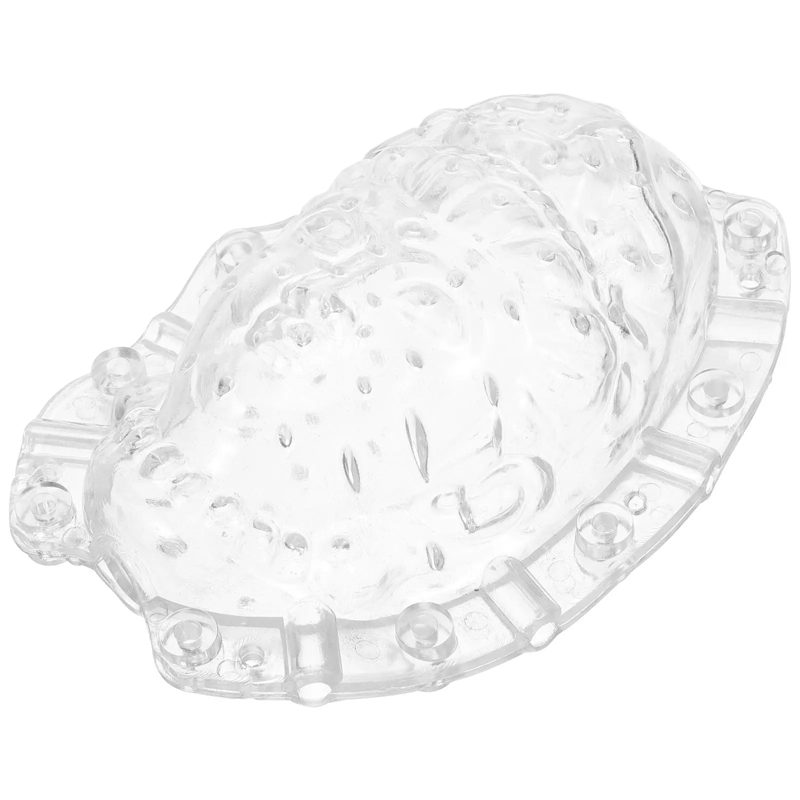 

Ginseng Fruit Shaping Mold Clear Acrylic Growing Vegetable Diy Tool Garden Yard Planter Helper Transparent Melon Former