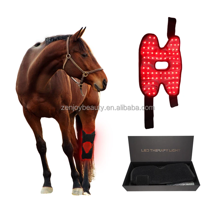 Customized Medical Horse Care Products Built-in Battery 660nm & 850nm Red Light Therapy for Horse Hock & Knee