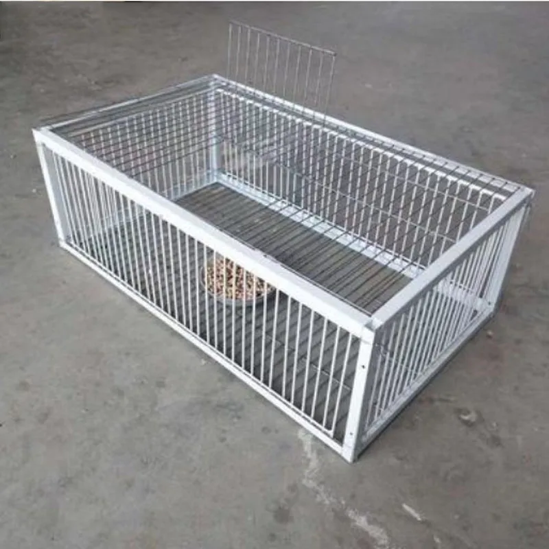 Mid Foldable Galvanised Pigeon Bird Trap Cage Feral Pigeon humane way with the one-way entrance Trapping Pigeons doves In Cages