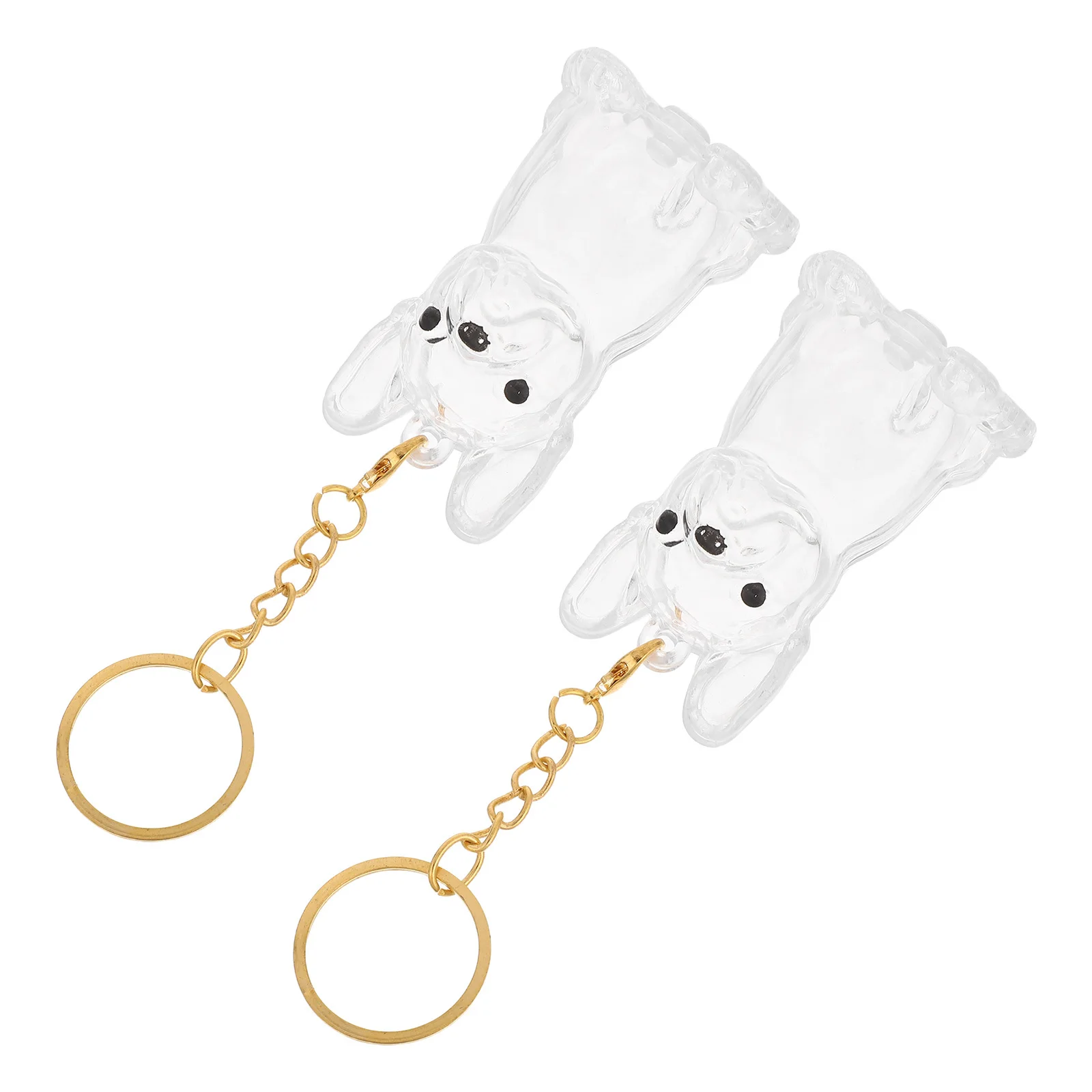 

2Pcs Dog Hair Storage Holder Transparent Capsule Mini Urn Keychain Pet Hair Keepsake Pendant Clear Memory Locket Pet Memorial