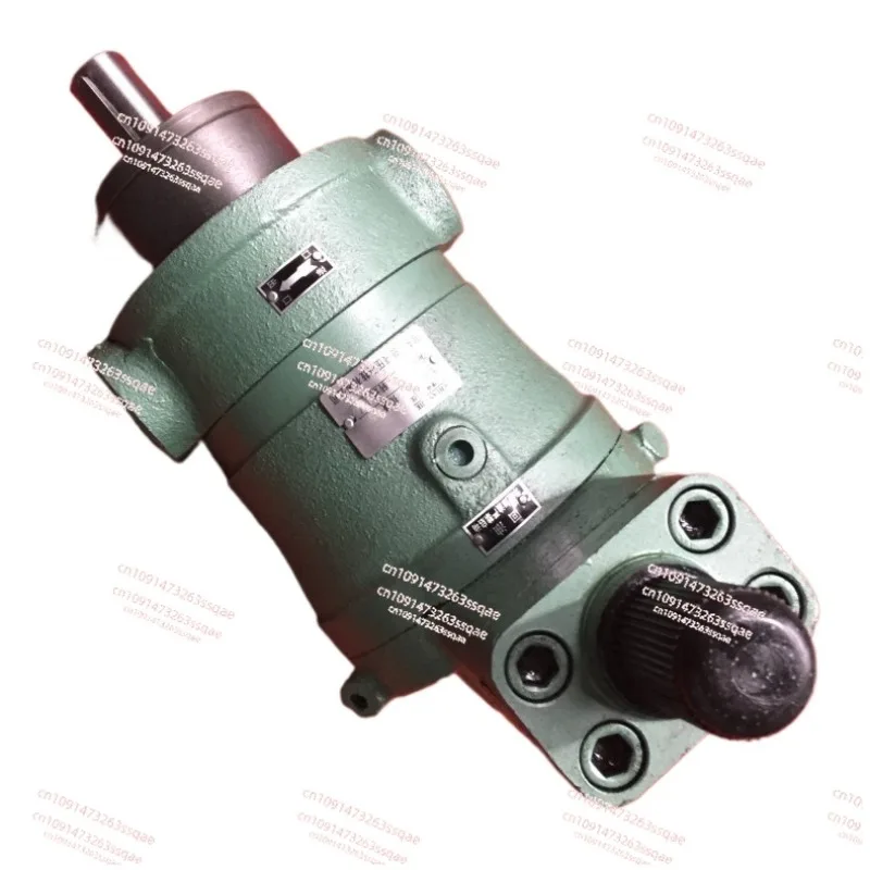 

Supply Variable Axial Piston Pump 25YCY14-1B Variable Pump Electric