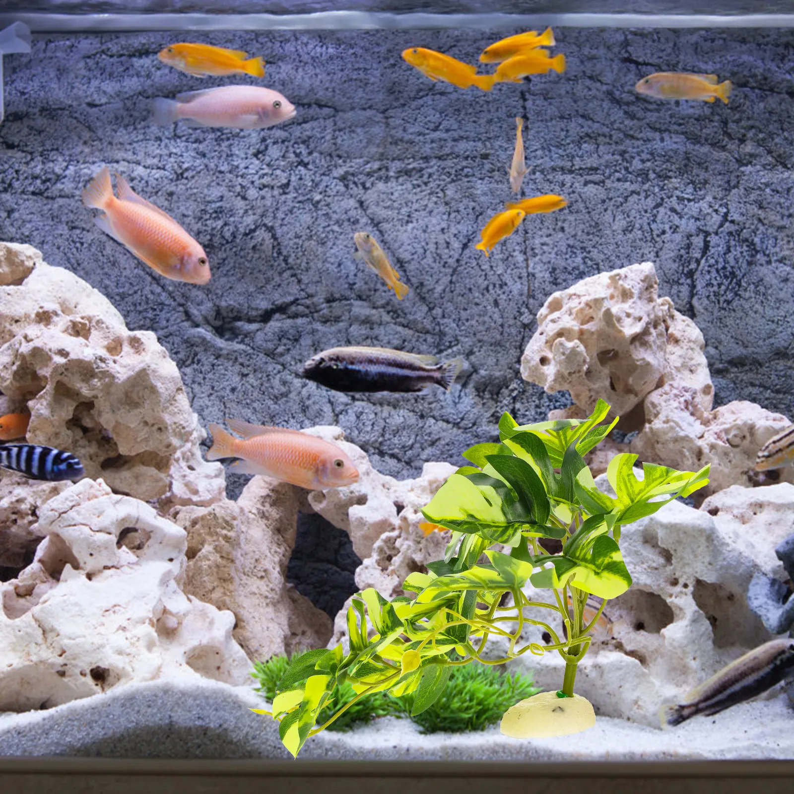 Pianta di Monstera Realistica  - Aquarium Fish Artificial recensione e prezzo