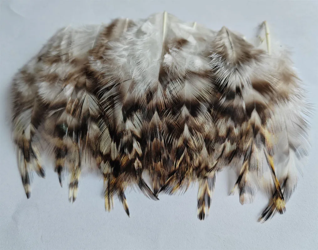 200 pièces 7-10 cm en vrac naturel gris Grizzly coq selles plumes pour l'art, chapellerie, artisanat, coq, Grizzly, garniture