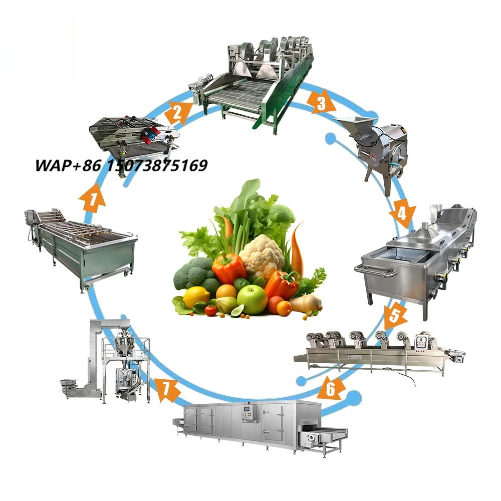 Food Processing Blanching Line | Automatic Vegetable & Fruit Color Fixing and Pre-Cooking Equipment
