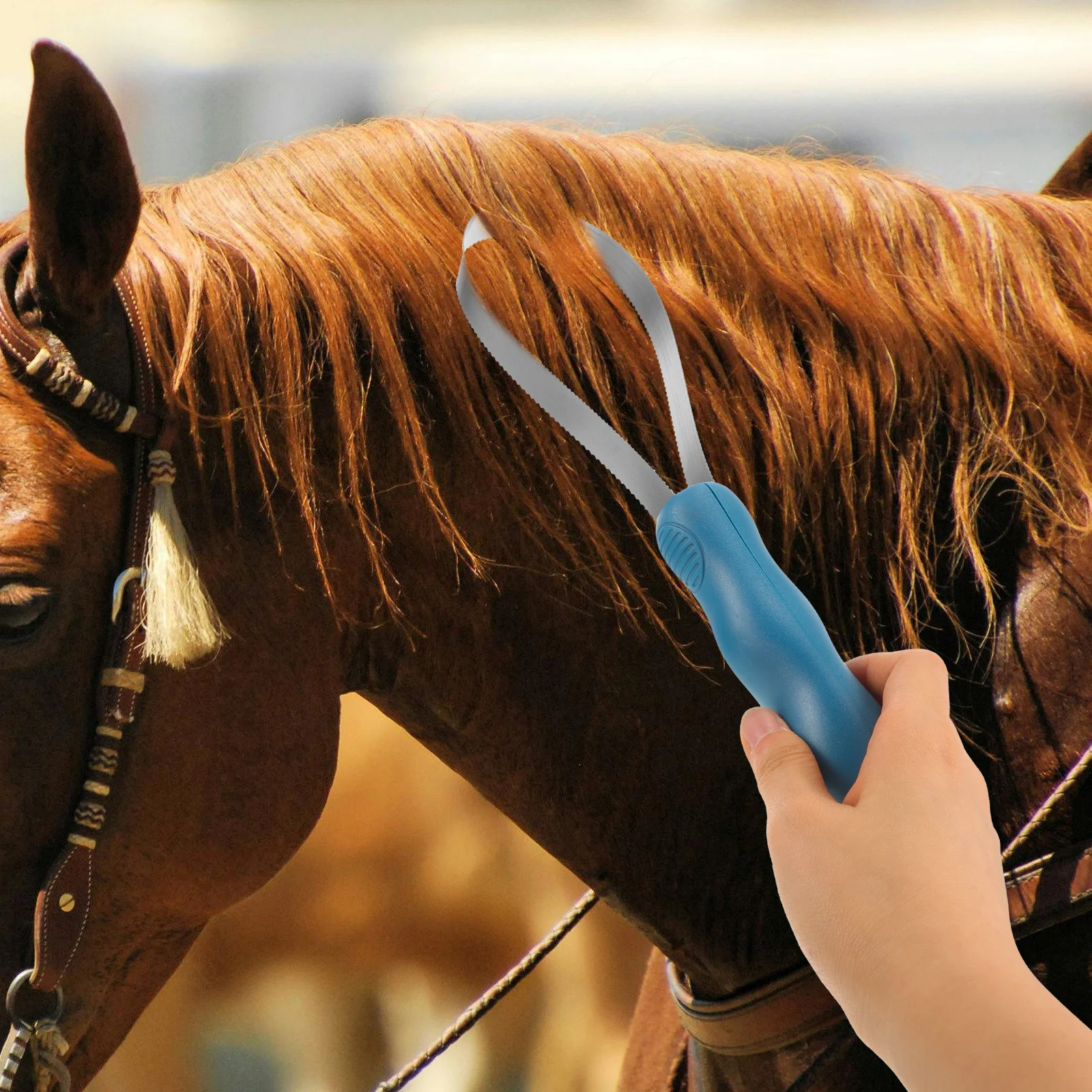 Cepillo de caballo, pelo de ganado, peine de limpieza para picazón, ganado, azul, dentado, eliminación de novio