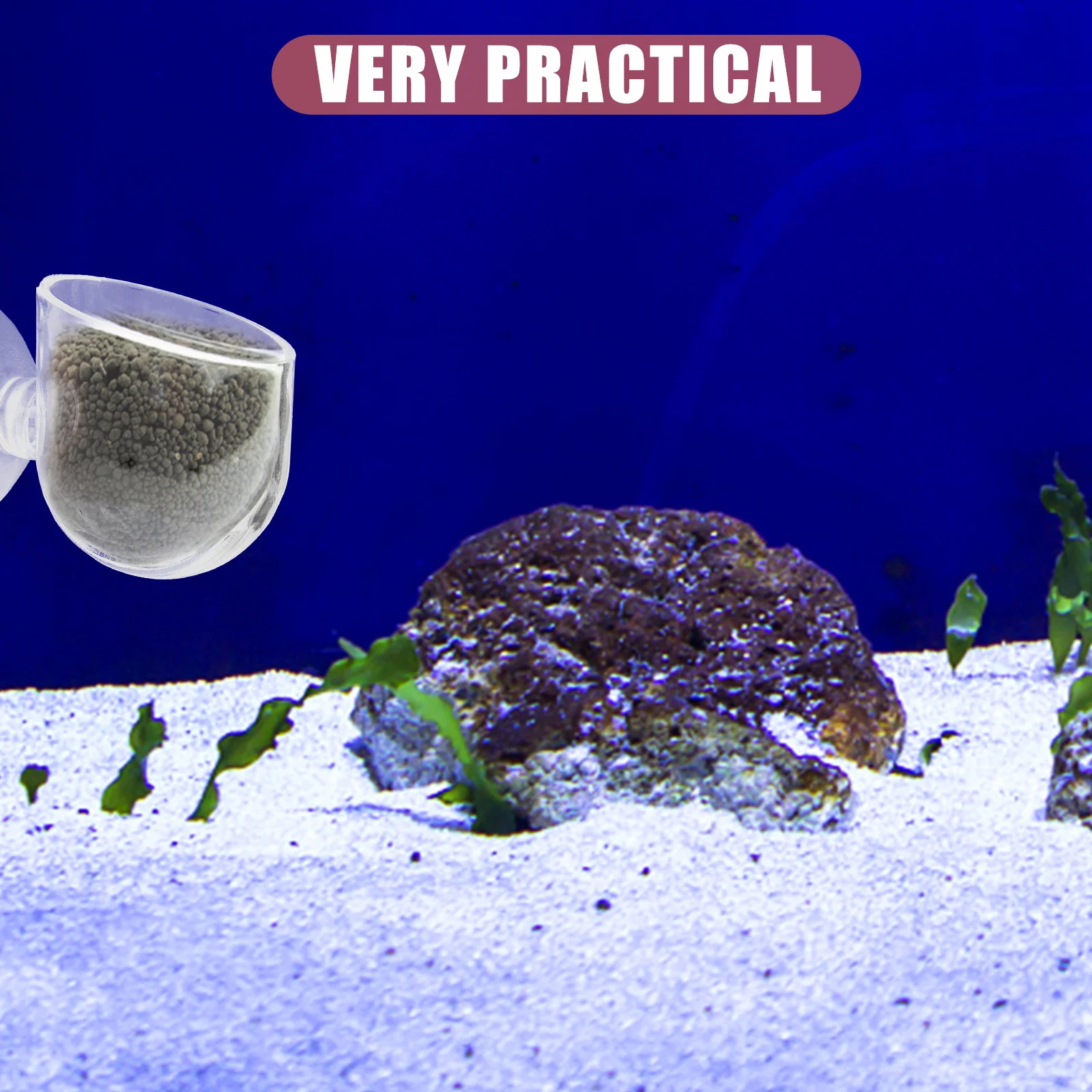 

2Pcs Crystal Glass Aquatic Plant Pot 2 Suction Cups Permeable Holes Freshwater Saltwater Tanks Aquatic Plant Cup