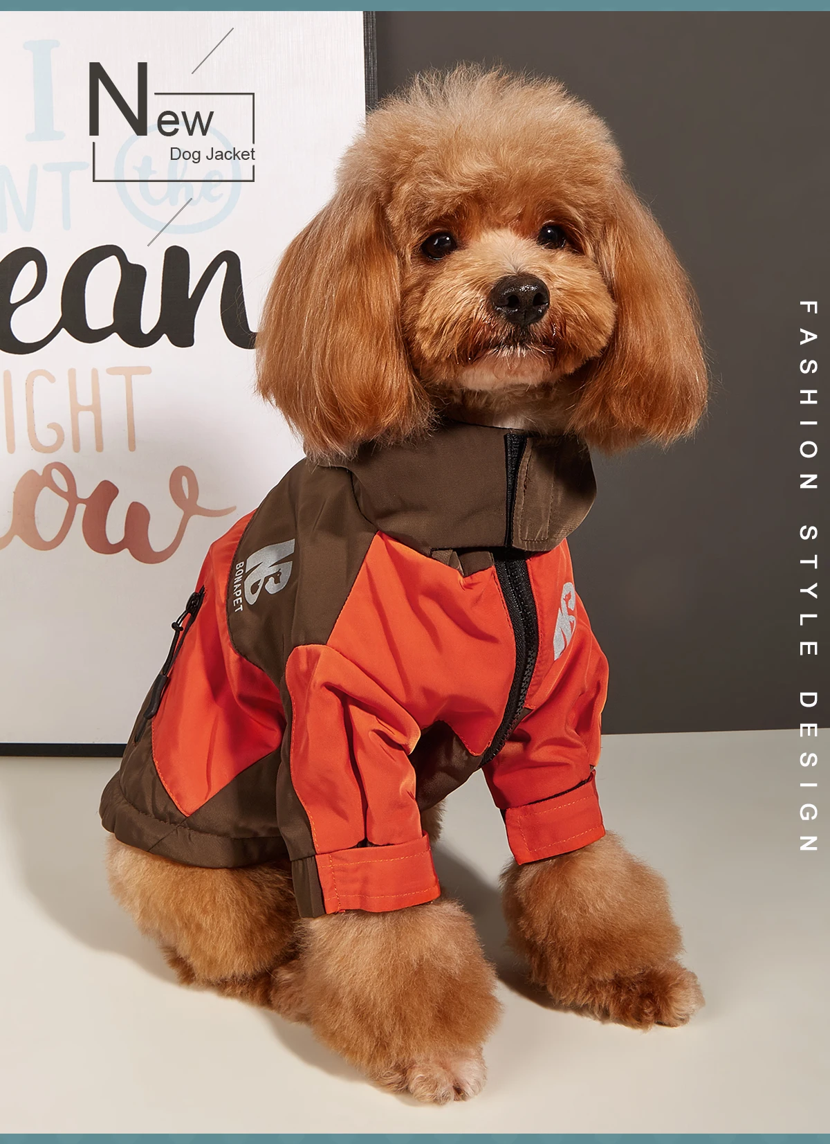 Wasserdichte Kleidung für große Hunde, Winter, warm, Haustier-Regenmantel für mittelgroße und große Hunde, modische coole Hundejacke, französische Bulldogge, Chihuahua-Outfit – Detail 10