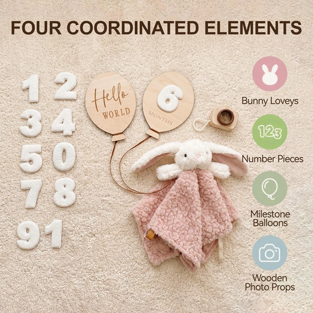 Newborn Baby Photo Set Bunny Plush Comforter 0-9 Numbers Hello World Month Wood Camera 0-12M Milestone Gift Set Photography