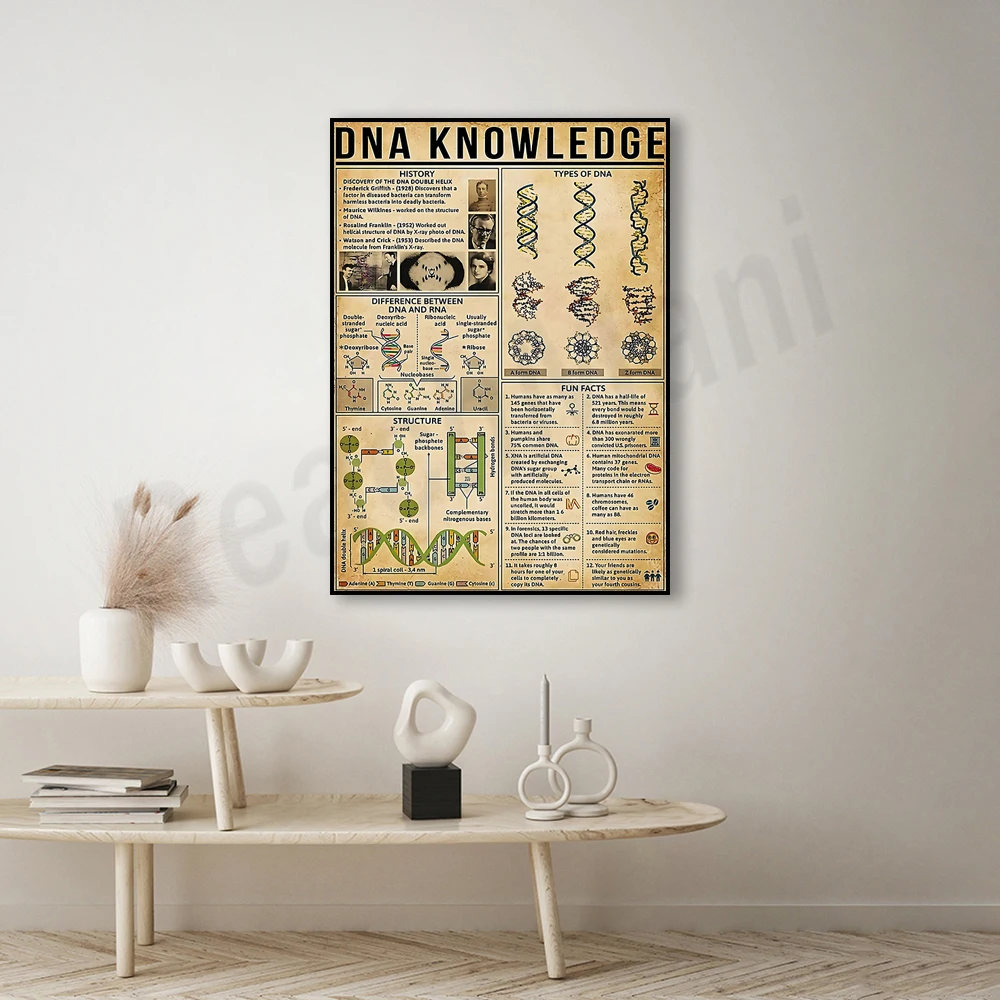 DNA knowledge poster, vintage biology science infographic poster print wall art picture, DNA art, biological scientist gift