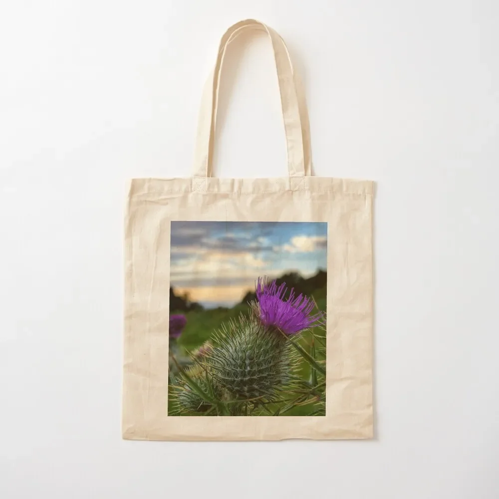 

Sunset thistle near Selkirk, Scottish Borders Tote Bag canvas bags canvas tote bags custom bags luxury women Tote Bag