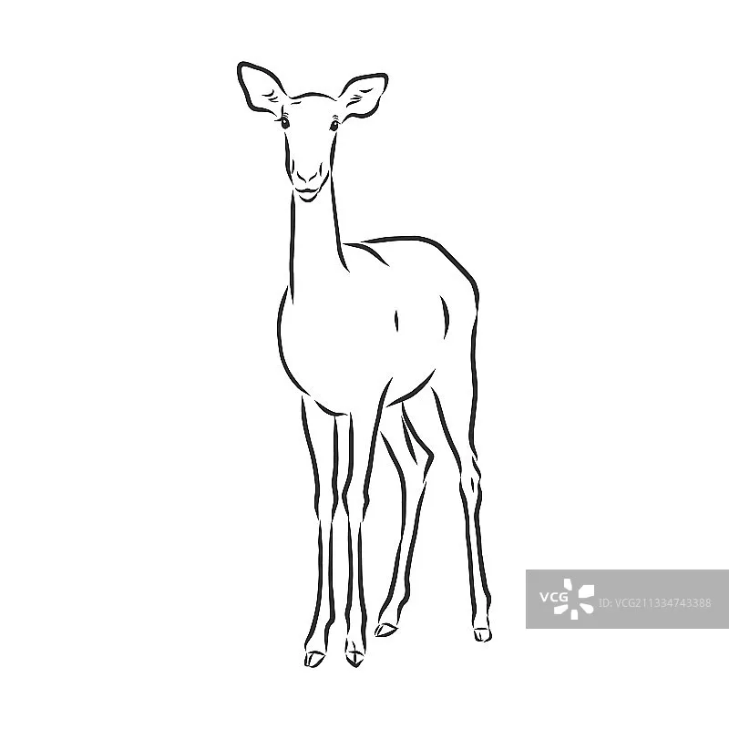 

Радиопередатчик iFlight Commando 8 Pro, двухдиапазонный 2.4G и 900МГц, FPV-пульт дистанционного управления с ELRS для радиоуправляемых дронов