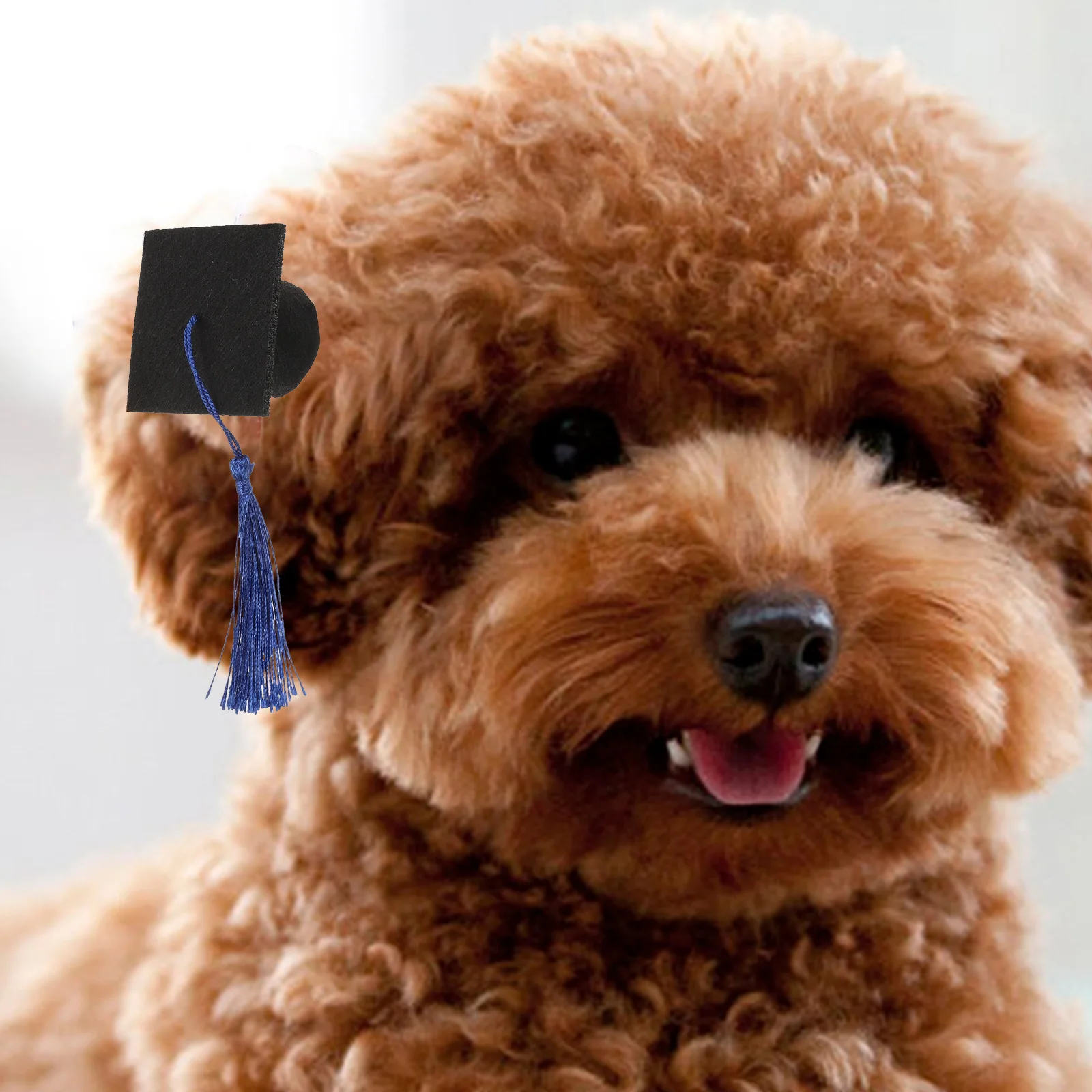 

4Pcs Pet Graduation Caps Tassel Design Easy Wear Small Dog Cat Puppy Photo Props Party Costume Accessories