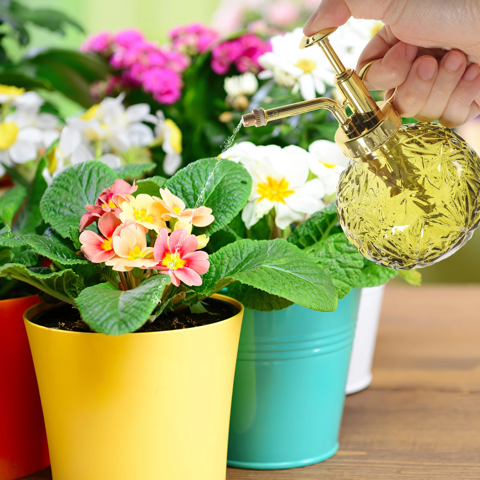 

Clear Glass Watering Bottle with Pump Thickened Glass Body Vintage Spray Bottle for Plants Small Plant Mister for Indoor Garden