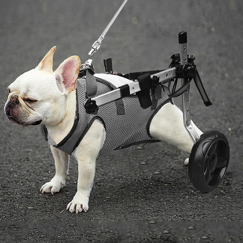 

Doggy Disabled Hind Legs Walking Cart Adjustable Light Weight Dog&Cat&Pets Cart Small Dog For Back Legs