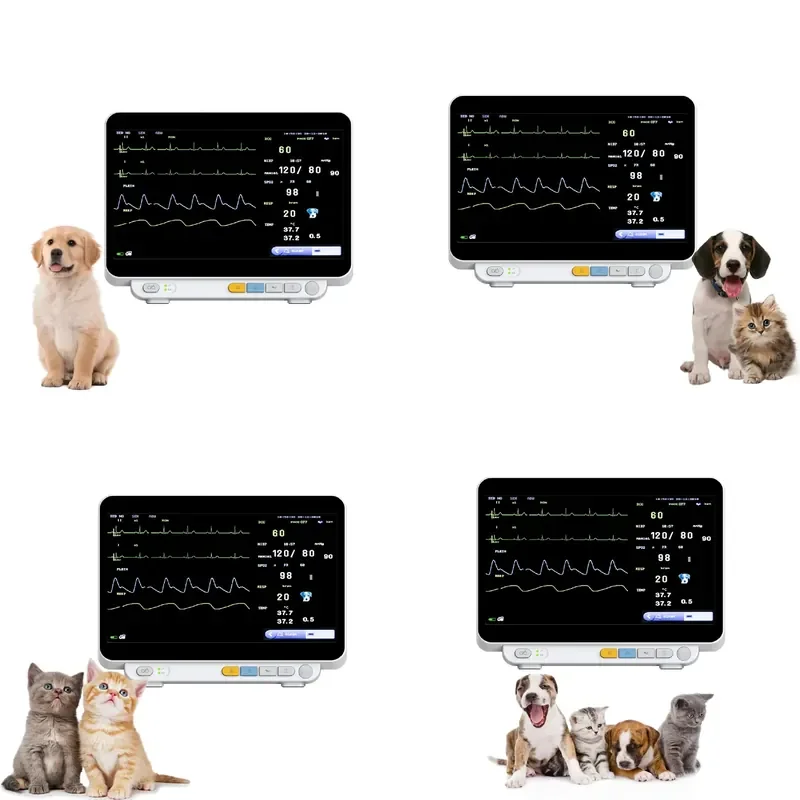 14-Inch Reusable Color LCD Touch Screen Veterinary Multi-Parameter Machine for Dog Equipment for