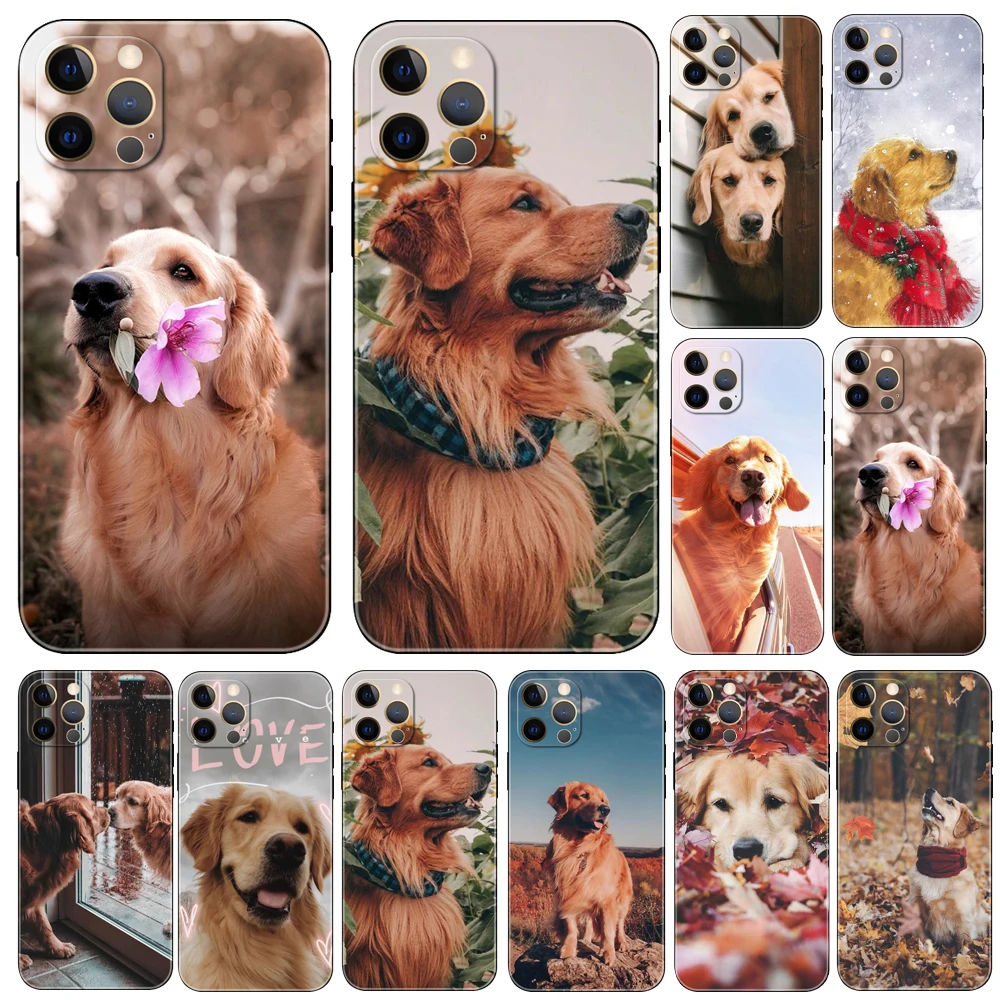 Golden Retriever Friend ，phone case for iphone，14 2020 se 6s 7 8 plus x 10 XR XS 11 12 13 mini pro MAX soft black tpu back cover