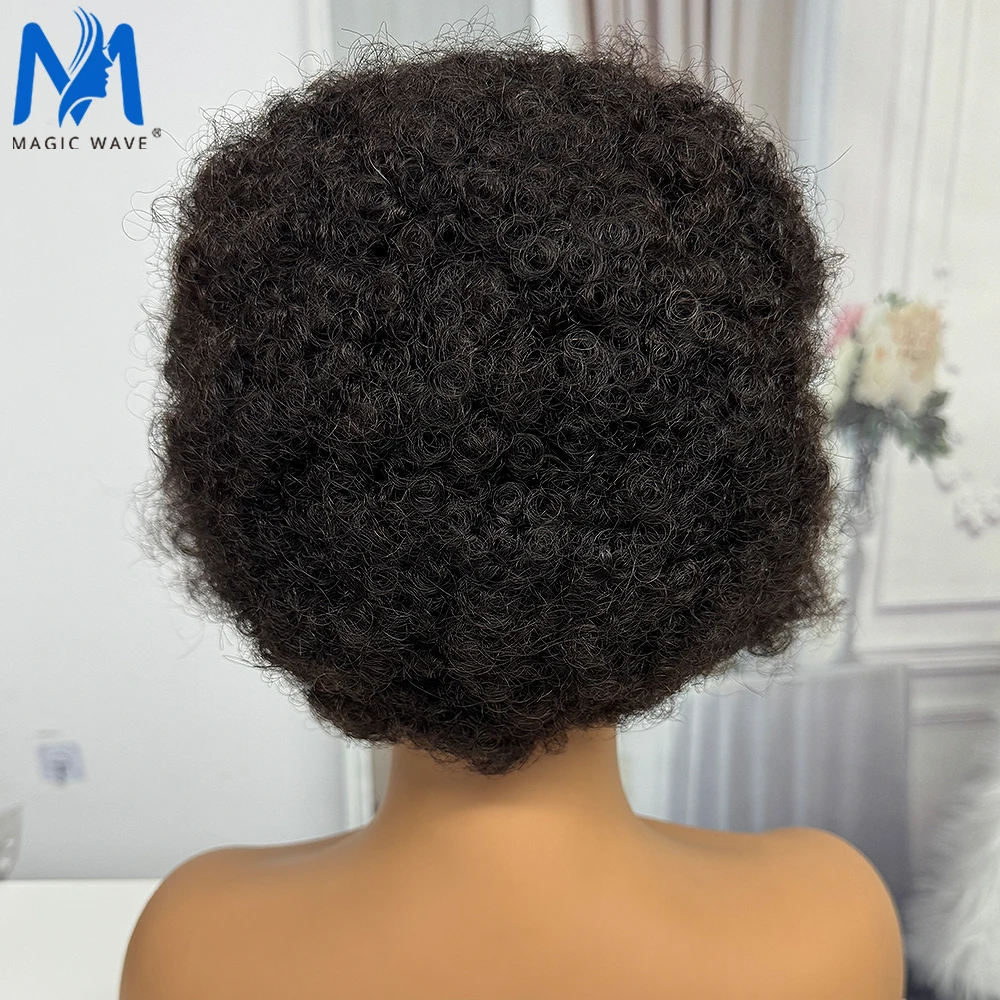 Afro Perucas de Cabelo Humano com Tranças para Mulheres Negras, Bouncy Peruca Encaracolada, 13x4 Lace Frontal, 100% Cabelo Remy Brasileiro, 6 