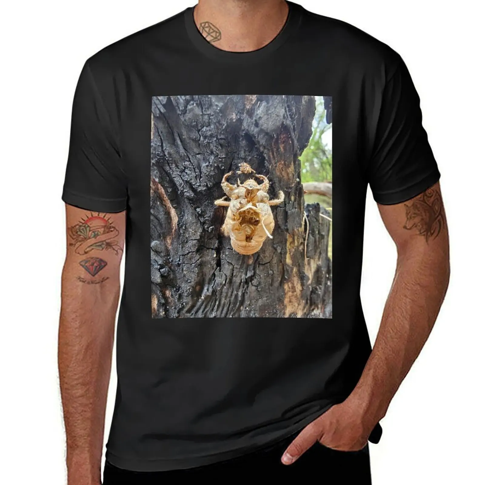 Cicada Husk On Burnt Tree Trunk T-Shirt graphics quick-drying oversized heavyweights men t shirts