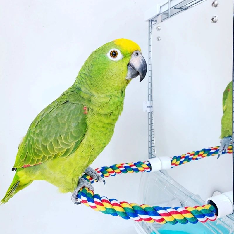 مرآة الطيور الاكريليك مع حبل العصافير لعب الطيور طيور الحب فنش الكناري سوينغ مريح جثم ل Parakeet كوكاتيل Conure