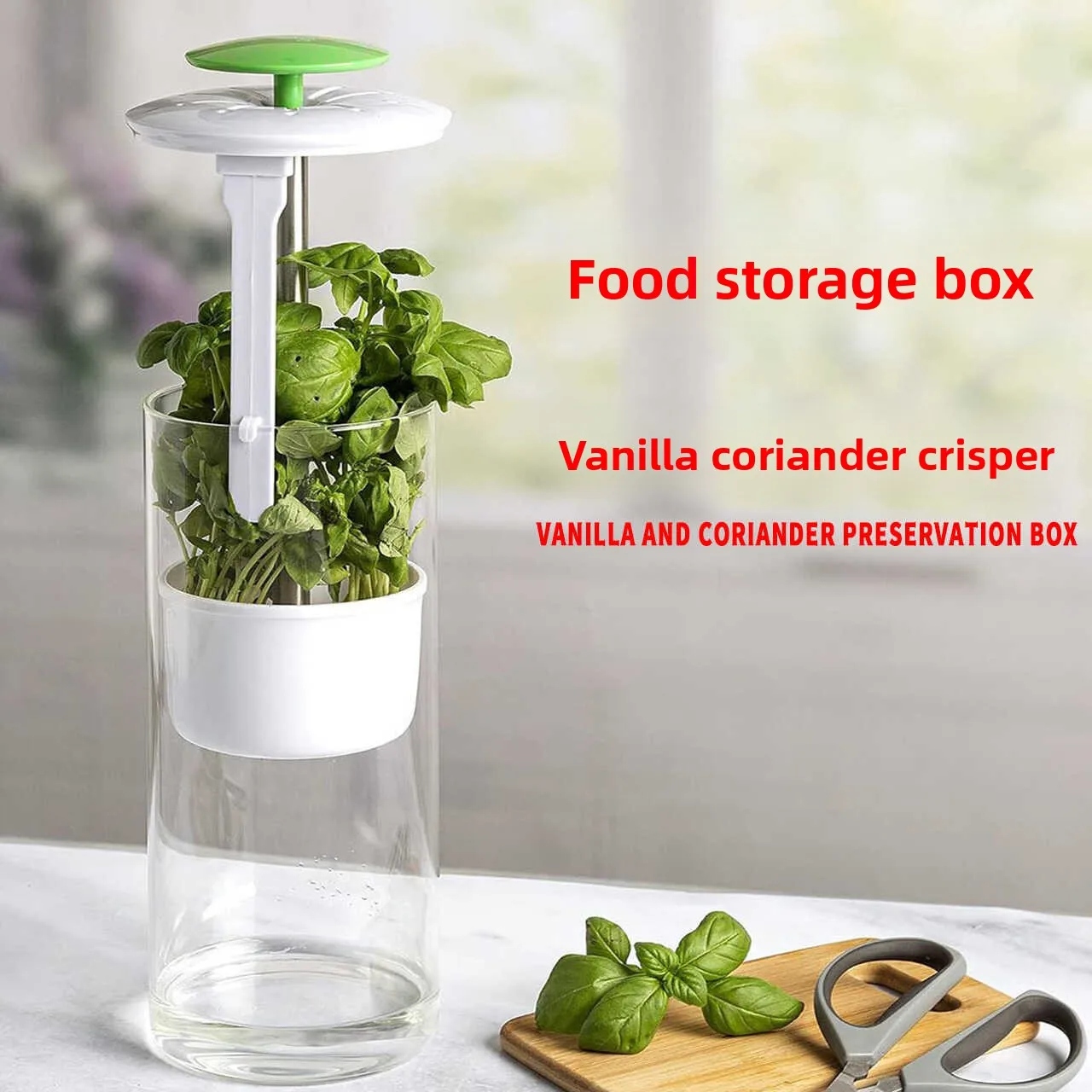 Caja de Conservación de Hierbas, Contenedor de Almacenamiento de Cilindro de Plástico Ecológico para Vegetales, Cilantro y Albahaca, Gran Capacidad